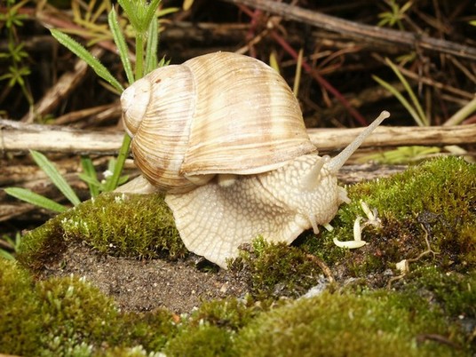 PICT0004.JPG